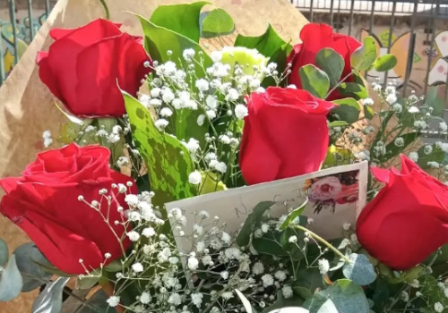 Envío de Rosas a Domicilio